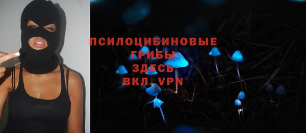 мяу мяу мука Ладушкин