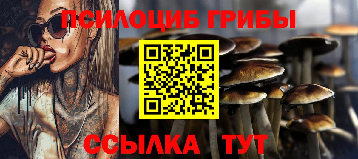 Галлюциногенные грибы Psilocybine cubensis Павловский Посад